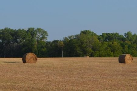 A Case of Kansas Stubborn Image